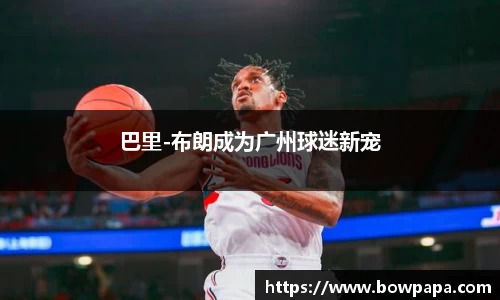 必博BIBO官网