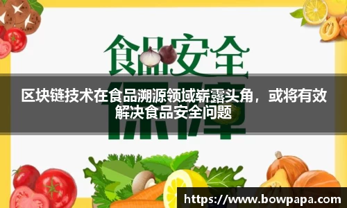必博BIBO