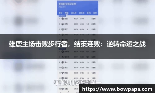 必博BIBO网址
