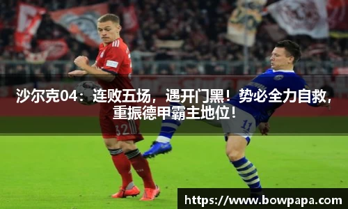 必博BIBO网址
