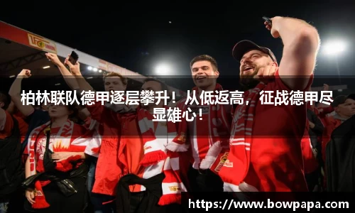 必博BIBO官网