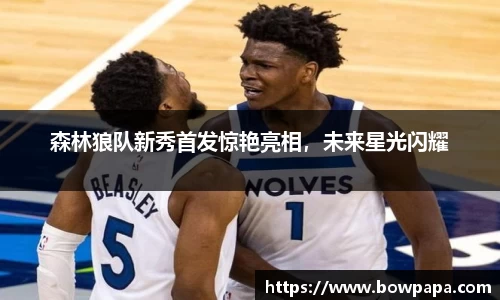 必博BIBO网址