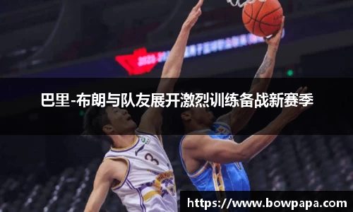必博BIBO