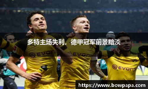 必博BIBO