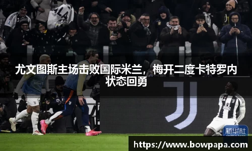 必博BIBO网址