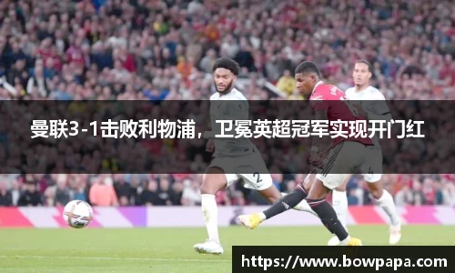 必博BIBO网址