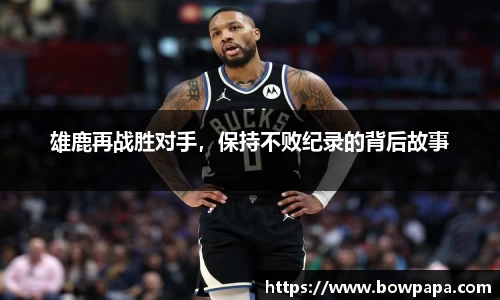 必博BIBO网址