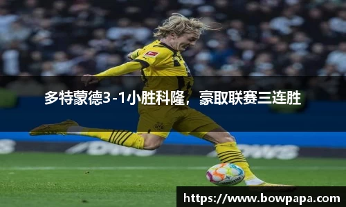 必博BIBO网址