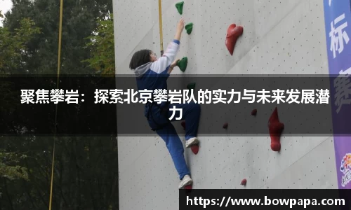 必博BIBO网址