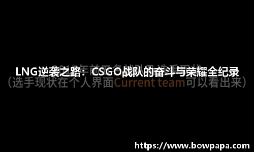 必博BIBO网址