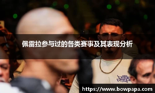 必博BIBO网址