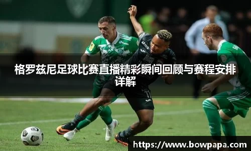 必博BIBOAPP