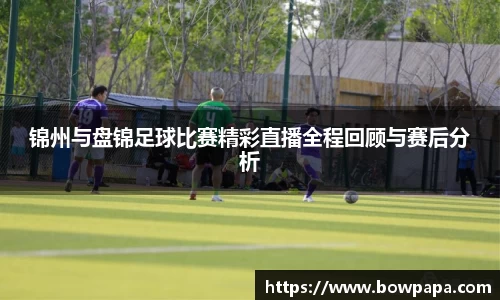 必博BIBO