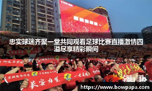 必博BIBOAPP