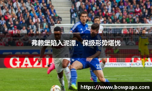 必博BIBOAPP