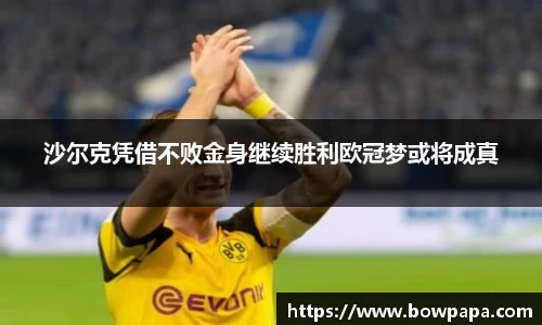 必博BIBO