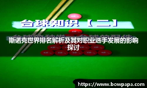 必博BIBO网址