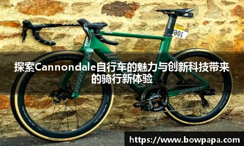 必博BIBO网址