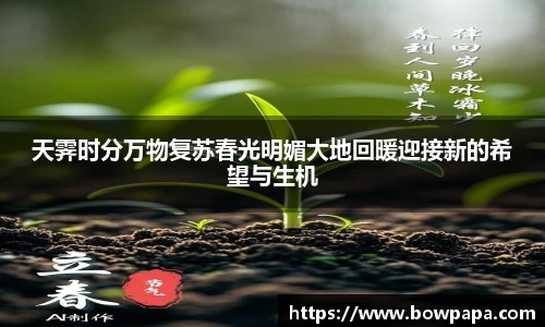 必博BIBO