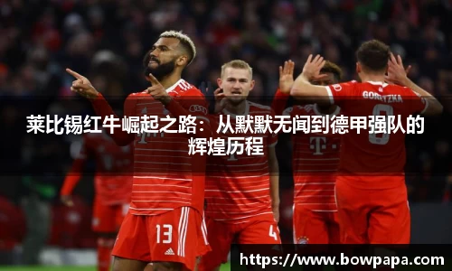 必博BIBO网址